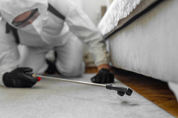 Professional Bed Bug Control technician working in Emerald Lake Hills, CA