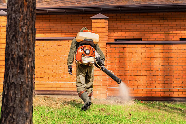 Trusted Emergency Pest Control service in Emerald Lake Hills, CA - Nex Pest Control